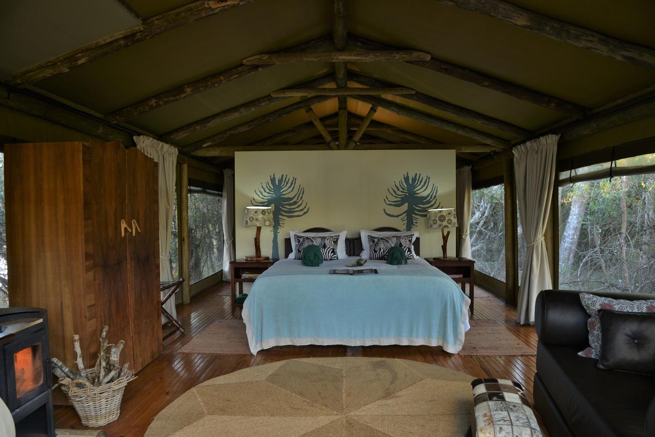 Sibuya Game Reserve And Lodge Kenton-on-Sea Extérieur photo