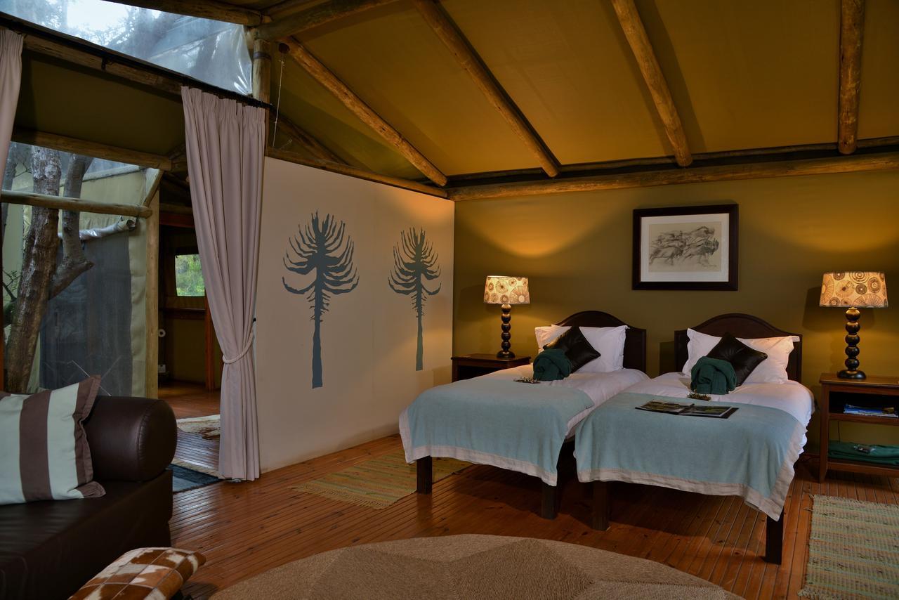 Sibuya Game Reserve And Lodge Kenton-on-Sea Extérieur photo